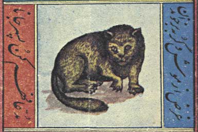 lead story image