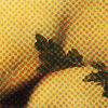 Is the Selling of Virginity a Feminist Act?