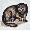 On Iranian Cats, Mice, and Revolutions